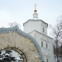 Свято-Успенский Липецкий монастырь Часть-2 - фото главного храма обители